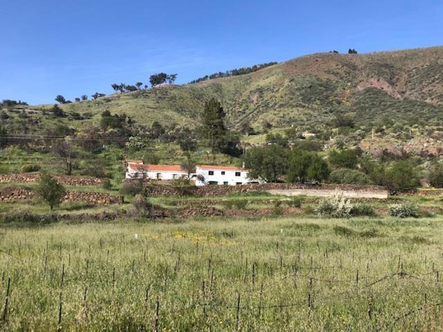 Casa-Finca El Maipez De Tejeda Las Palmas / Gran Canaria Exterior foto